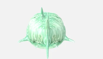 the bloop 3