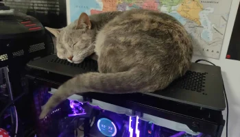 Платформа Cat для ПК в корпусе Tower