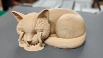 Спящий кот 3