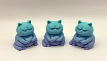 Сварливый дзен-кот