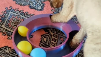 Cat track