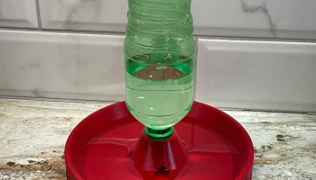 ПЭТ-бутылка Миска для воды для кошек.........