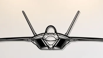 Силуэт F-22 Raptor