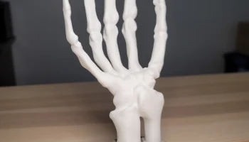 Skeleton Hand - Многоцветный ремикс 1