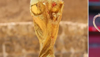 Трофей чемпионата мира