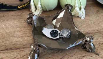 Низкополигональный декоративный поднос для собак-матерей .. 2