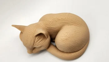 Спящий кот 1