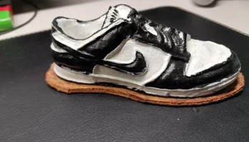 Модель данка Nike