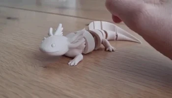 Шарнирный принт на месте Аксолотля.........