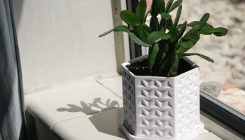 Горшок для цветов Tri-Hex, 4 дюйма, с дренажными отверсти... Горшок для цветов Tri-Hex, 4 дюйма, с дренажными отверсти...