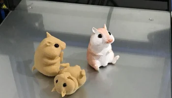 Hamster 1