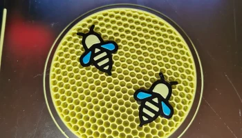 Bee Day 1