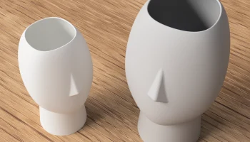 Face Vase 1