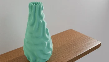Coral Vase 1