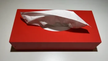 Tissue Box 1