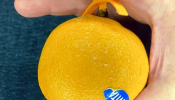 Овощечистка для апельсинов