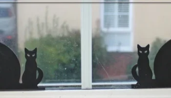 Cat Stand 2