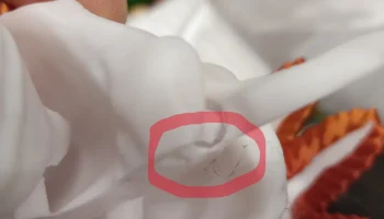 Шарнирный аксолотль, усиленные суставы рук.......... 1