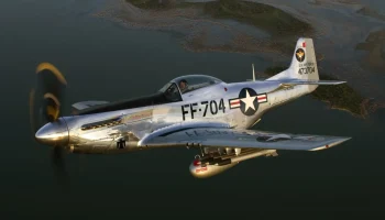 Самолет P-51D Мустанг | Масштаб 1-100 3