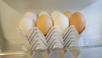 Stackable Egg Holder 1