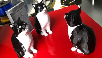 Двухцветный низкополигональный кот... 3