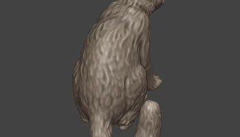 Уличный кот / Кот-разбойник 2