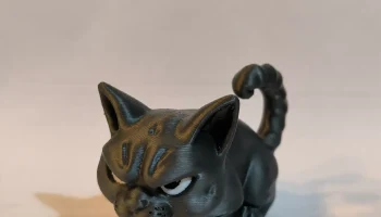 Angry Cat 2
