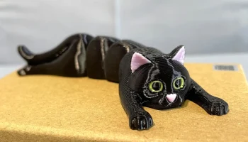 Flexi Holding Cat (печать на месте) 1