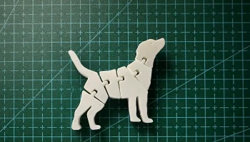 Flexi Dog
