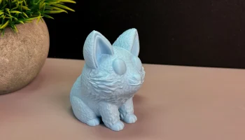 Cute Fox 8