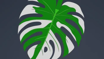 Print-a-plant - растение Монстера для печати 4