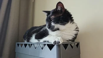 NR200P Кошачий насест (сэкономьте воздух!)......