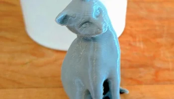 Сидящий любопытный кот 2