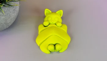 Шарнирный милый кот 8