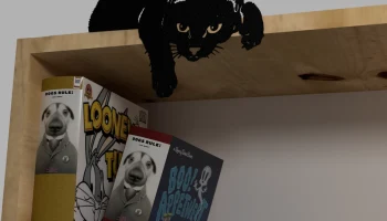 Кот на полке 1
