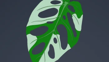 Print-a-plant - растение Монстера для печати 6