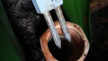 Еще одна система полива растений 7