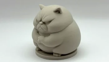 Грампи Чонк Кот 1