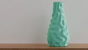 Coral Vase