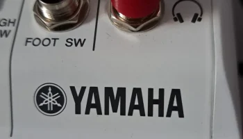 Кубок RCA Чинч Кейп 1