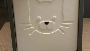 Дверь кошачьего домика 1