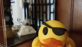 ALESTORM Ducky мыльница прямоугольная ALESTORM Ducky мыльница прямоугольная