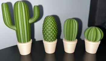 Cactus set