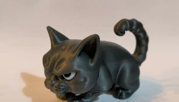 Angry Cat 8