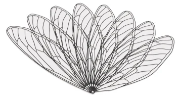 Wing Fan