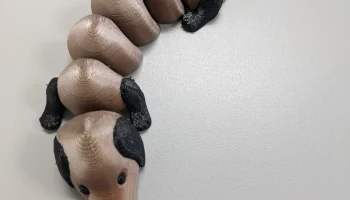 Двухцветный дизайн гибкой таксы мистера Ханджака... 1