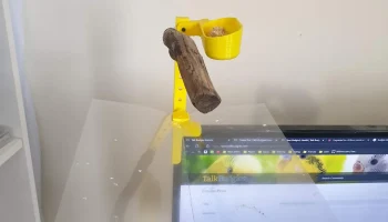 Модульный компьютерный монитор, птичий окунь...... 2