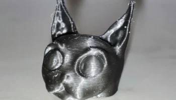 Счастливая 13 Кошачья голова