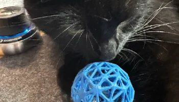 Игрушка для кошек / Katzenspielzeug
