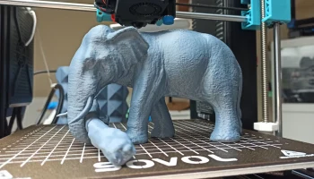 Elephant 5